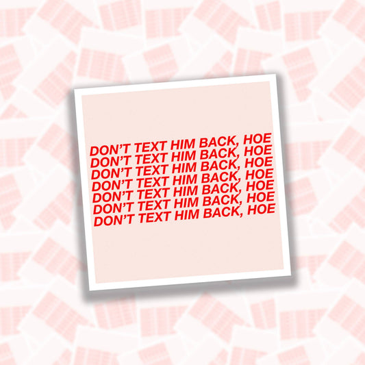 Don’t Text Him Back Hoe Sticker
